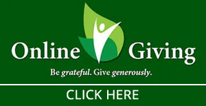 OSV Online Giving Portal